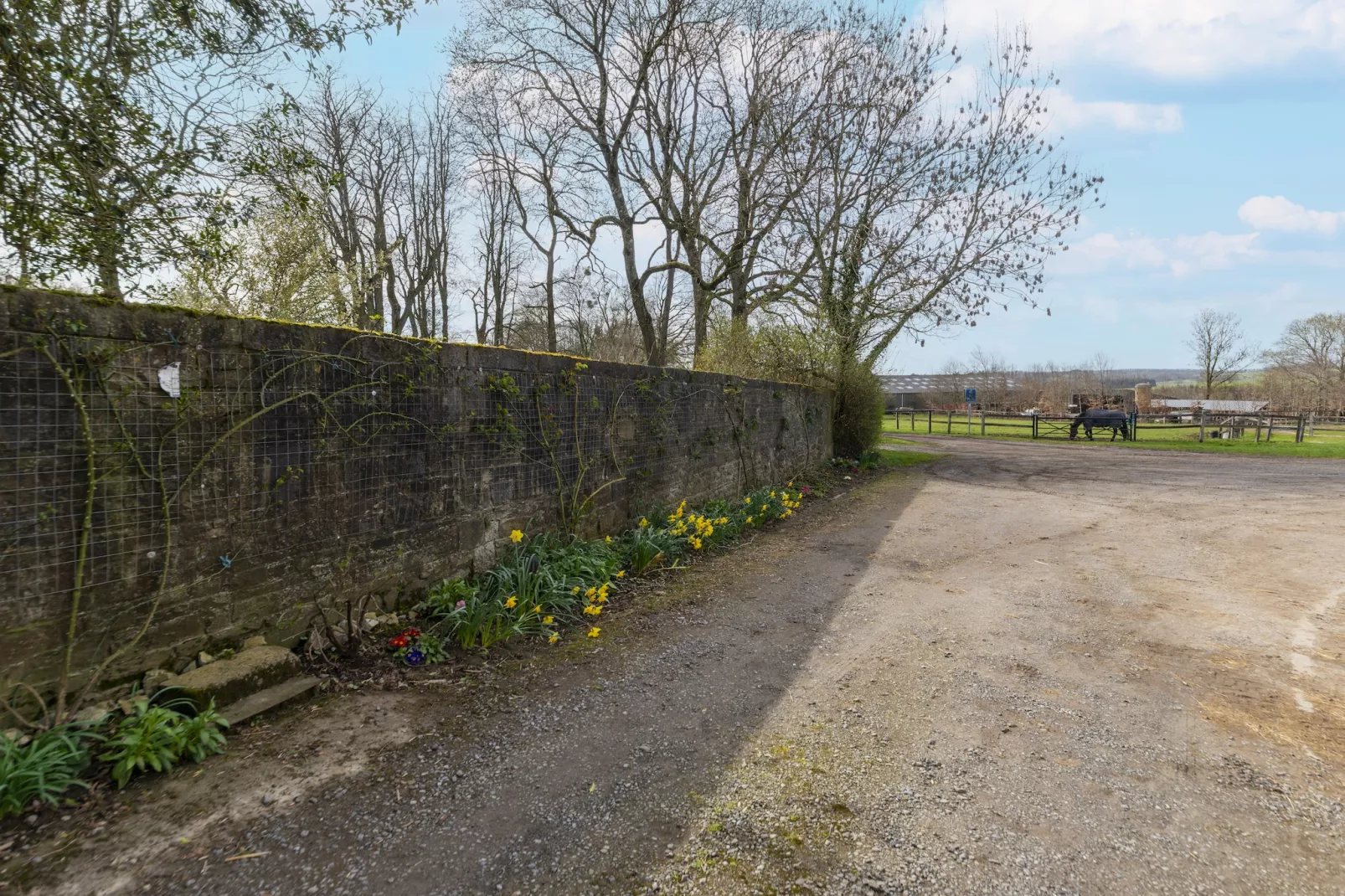 La Cour de Himbe - Buitenkant zomer