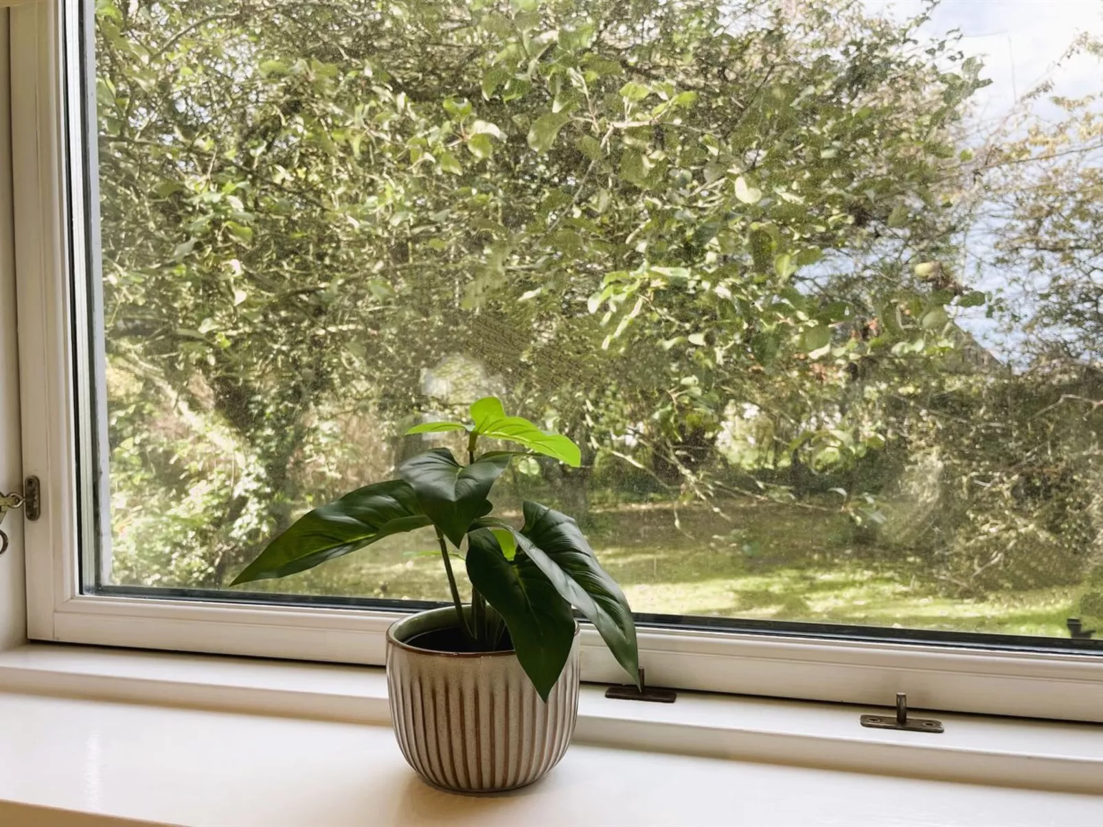 "Dana" - 525m from the sea - Buiten