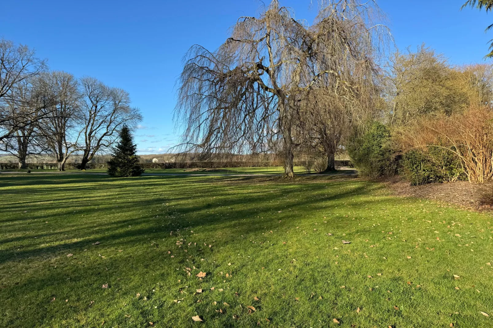 Appartement avec rooftop terrace - Gebied winter 1km
