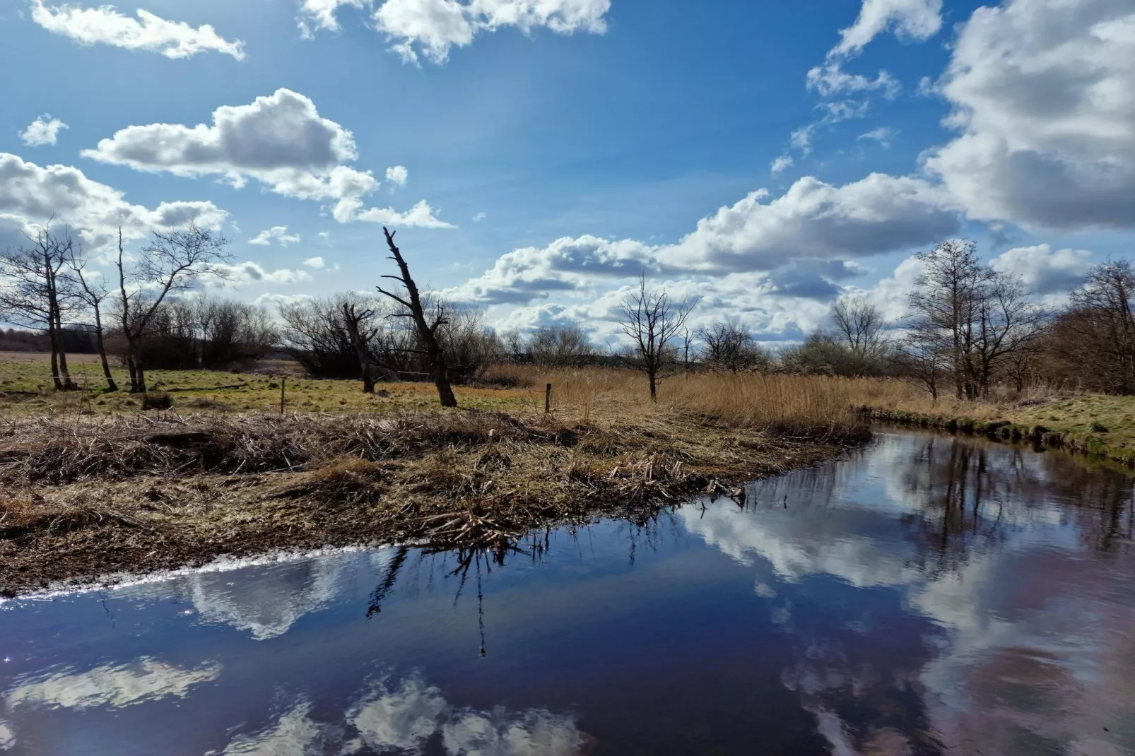 Jomfru Ane Premium Single - Gebieden zomer 5km