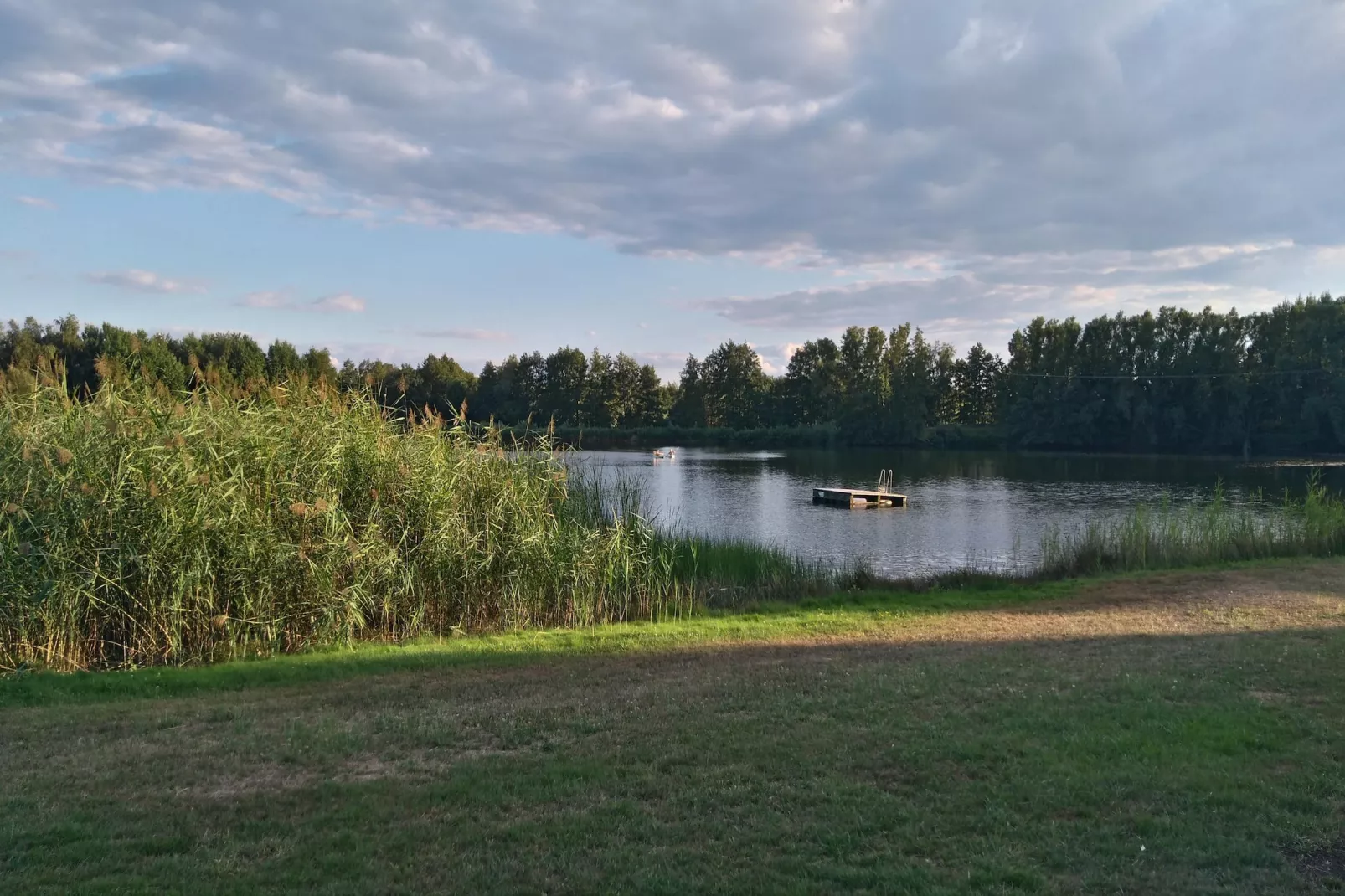 Standard Suite Room - Gebieden zomer 5km
