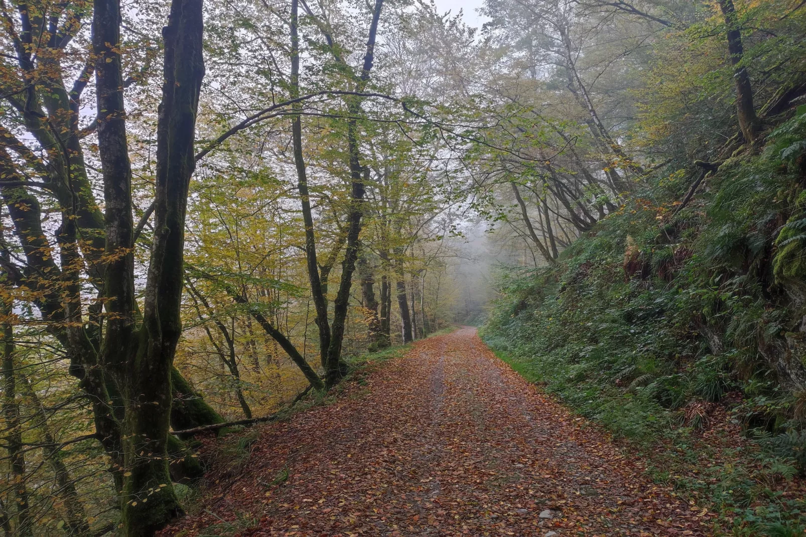 Au Coeur d'Alle Single Room - Gebieden zomer 5km