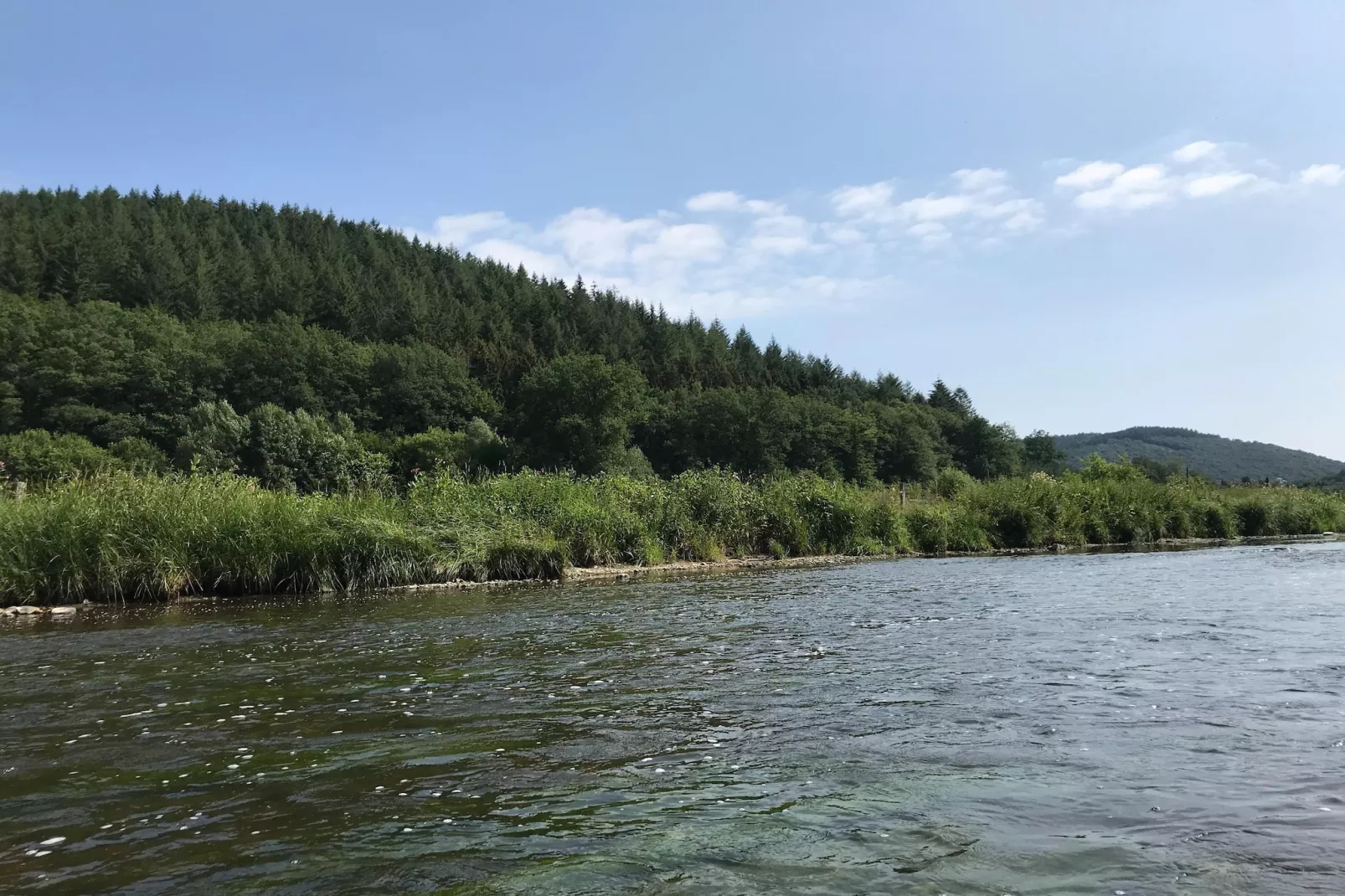 Au Coeur d'Alle - Triple Room with Bathroom - Gebieden zomer 5km