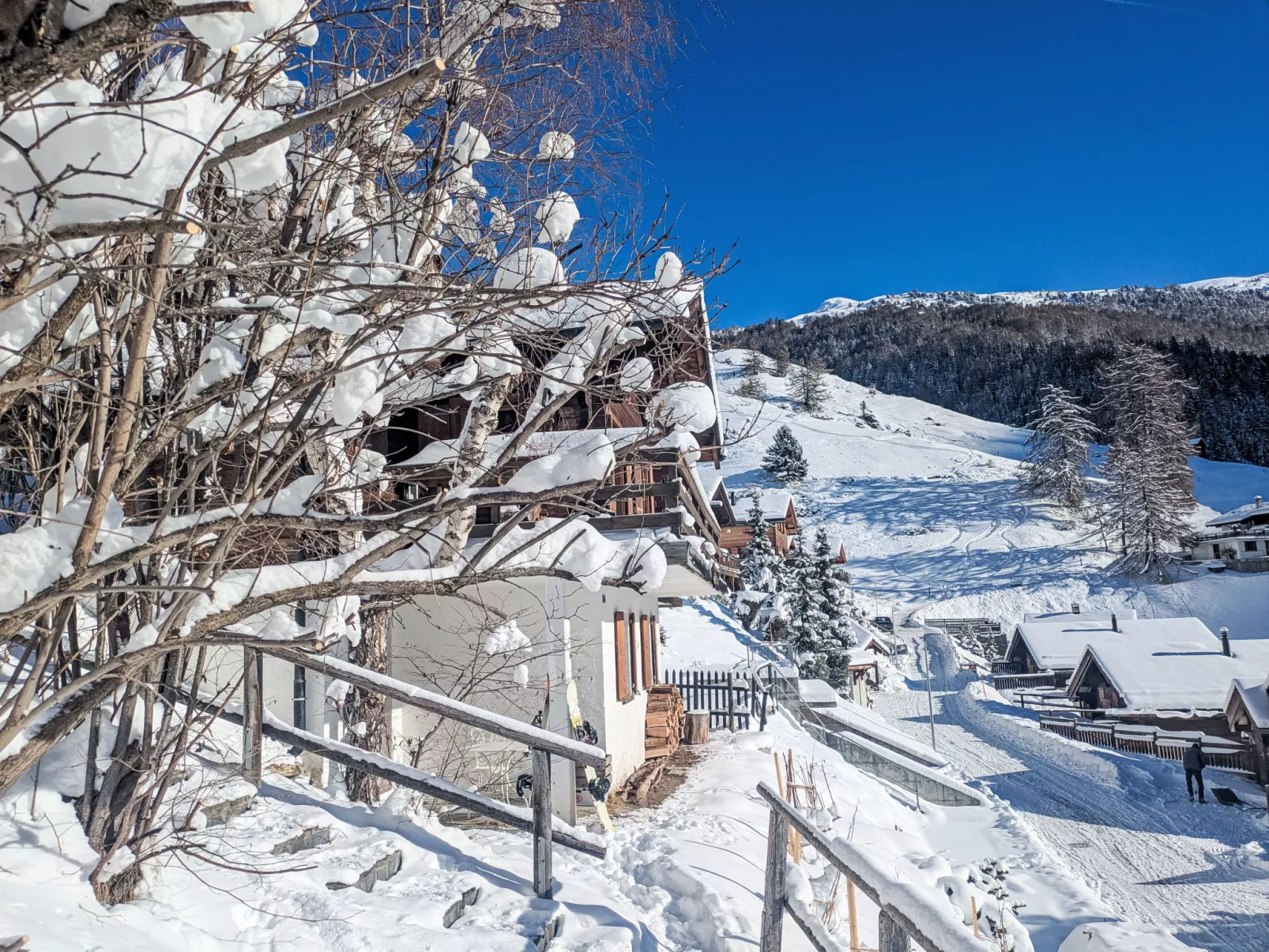 Chalet Le Griffon - Buiten