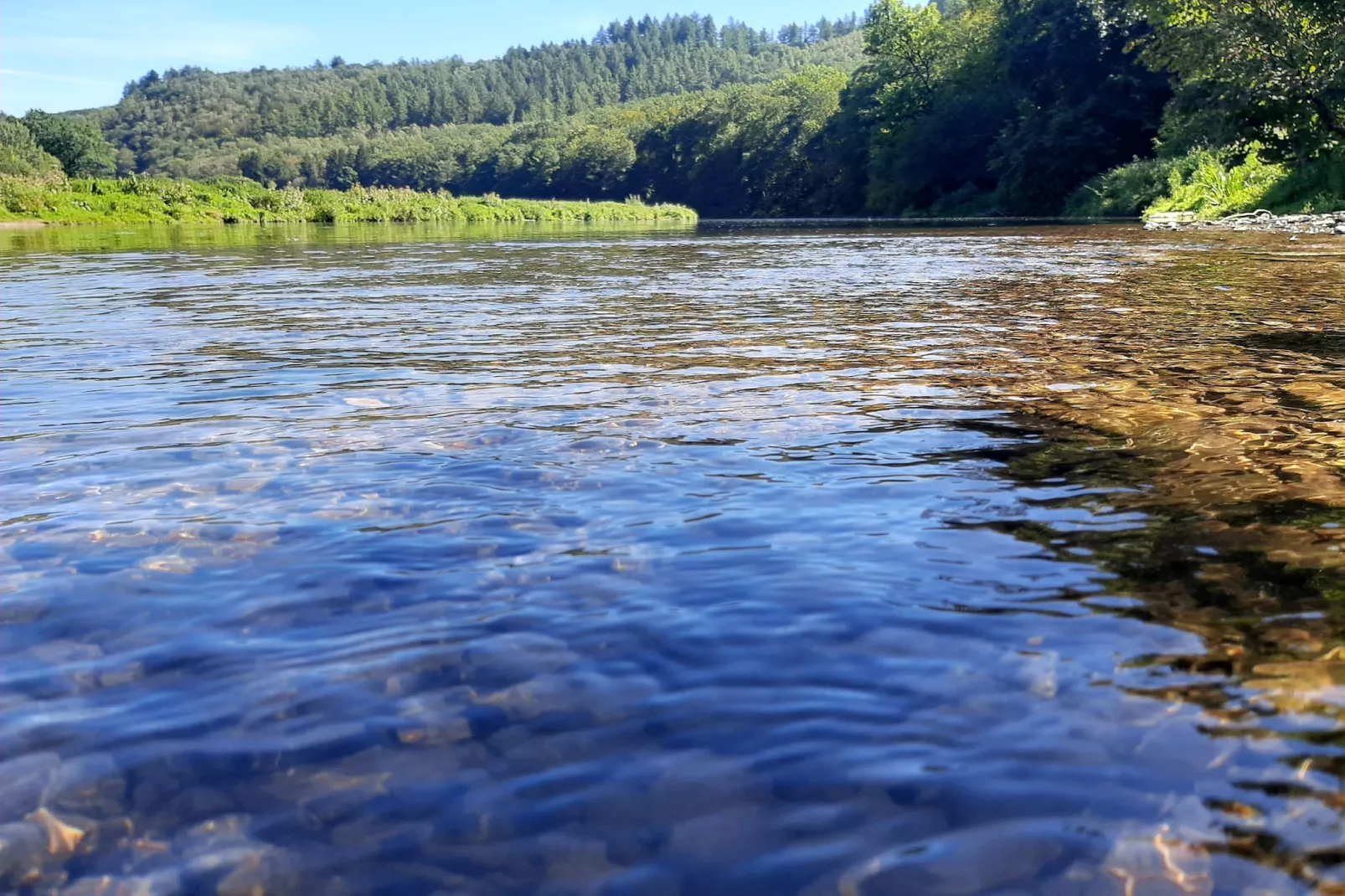 Au Coeur d'Alle Single Room - Gebieden zomer 5km