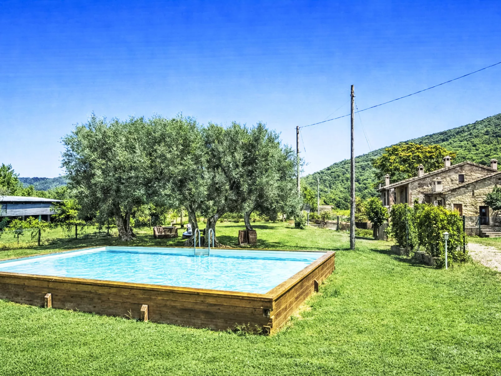 La Collina degli Ulivi