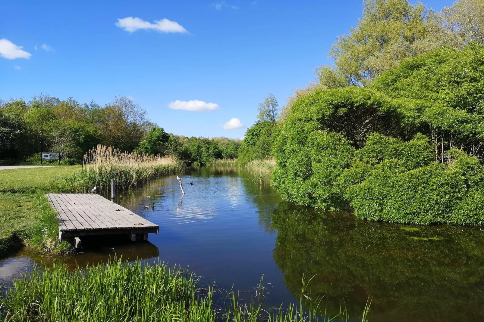 Jomfru Ane Standard Double - Gebieden zomer 5km