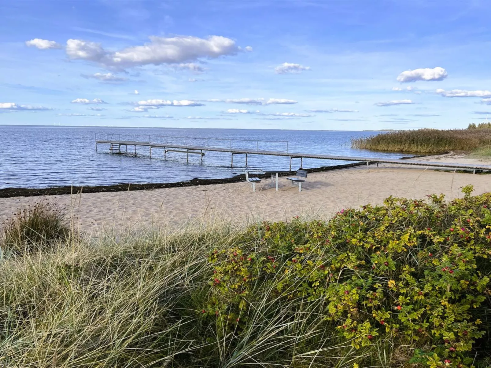 "Ronja" - 100m to the fjord - Buiten