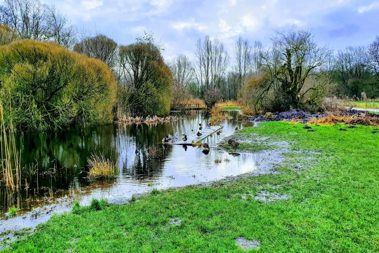 Jomfru Ane Premium Single - Gebieden zomer 5km