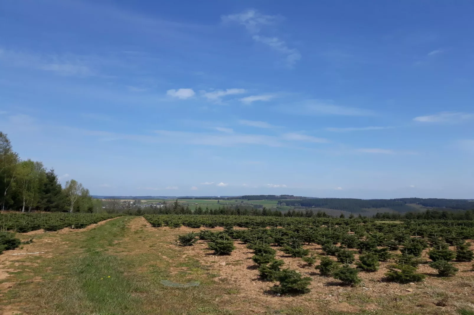 Au Coeur d'Alle Single Room - Gebieden zomer 5km