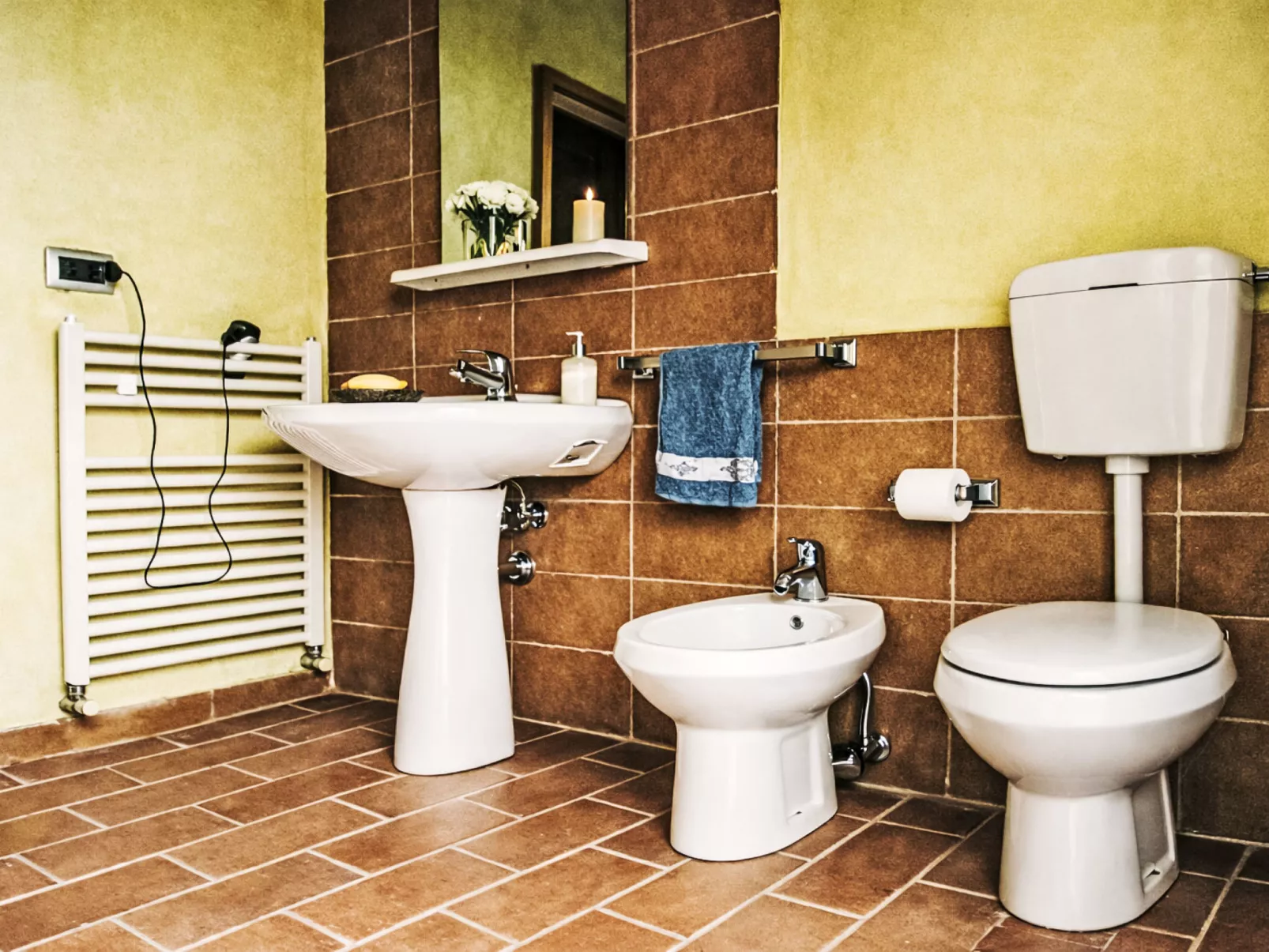 Cotoneaster - Binnen