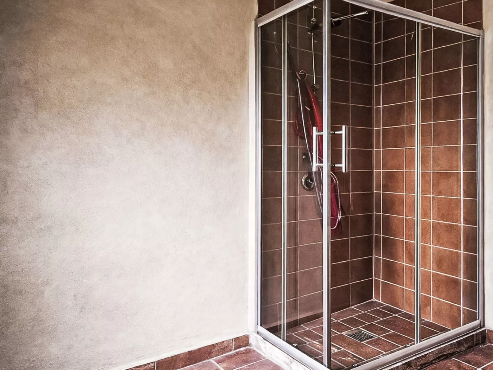 Cotoneaster - Binnen