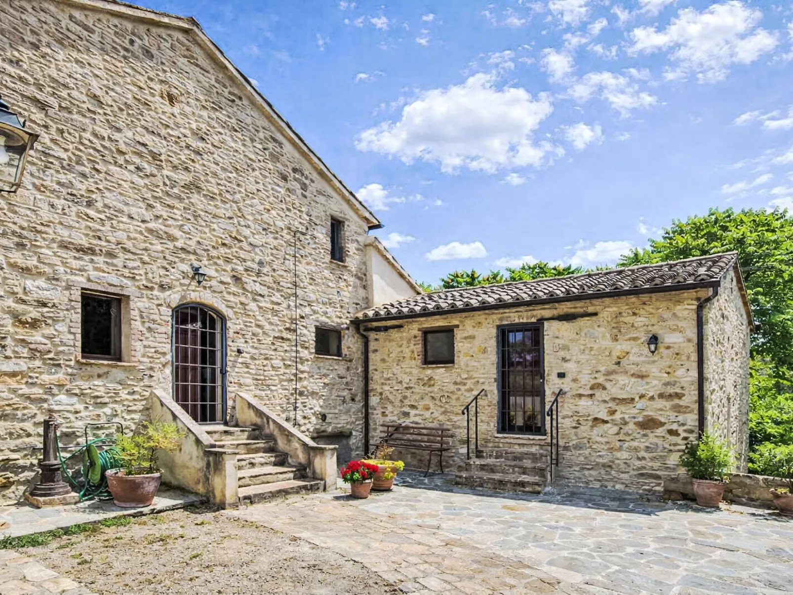 Cotoneaster - Buiten