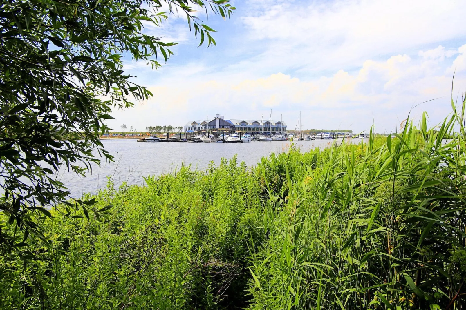 Resort Waterrijk Oesterdam 7 - Gebieden zomer 1km