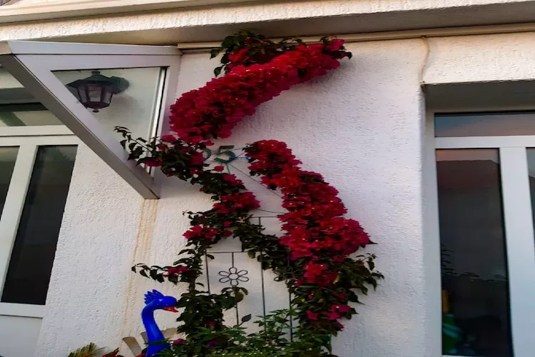 Apartments Snjezana - One Bedroom Apartment with Balcony and Sea View A1 - Buitenlucht