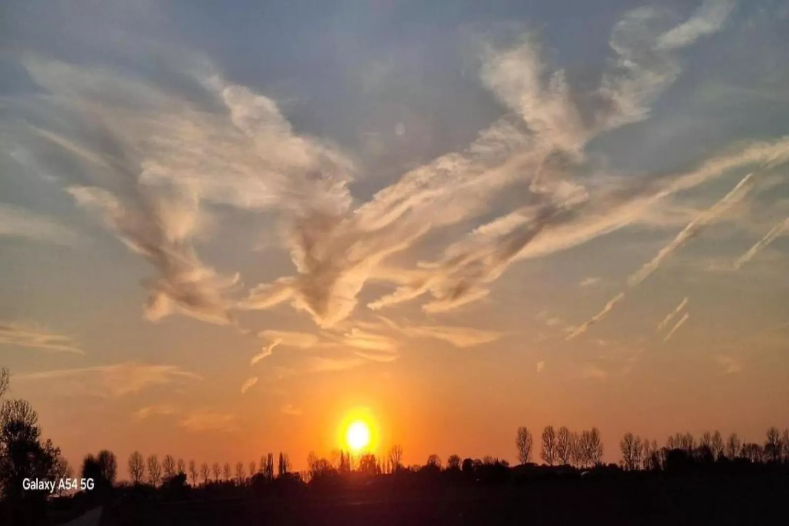 Resort Waterrijk Oesterdam 15 - Gebieden zomer 20km