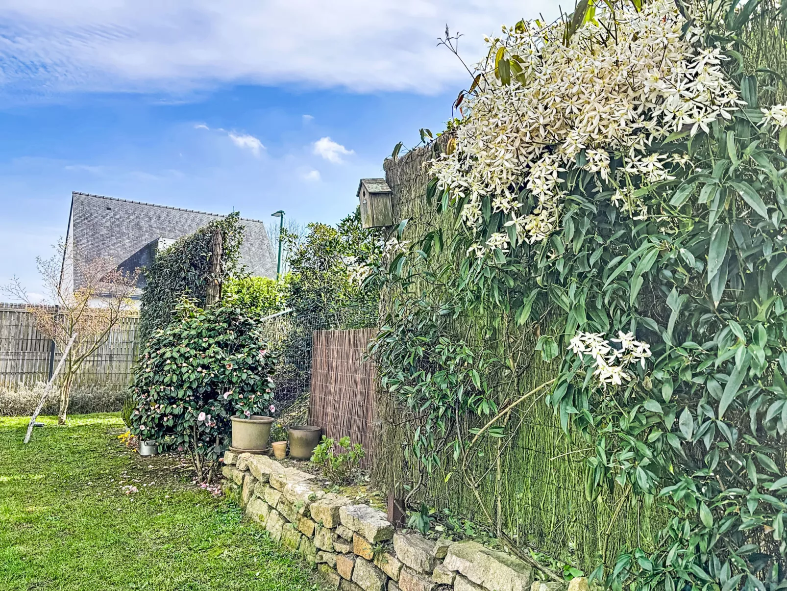 Maison Des Lupins - Buiten