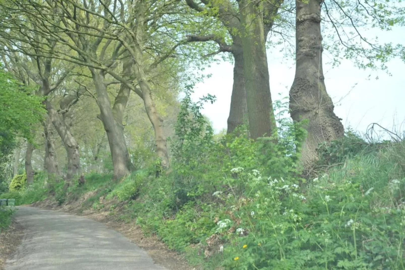 Resort Waterrijk Oesterdam 8 - Gebieden zomer 20km