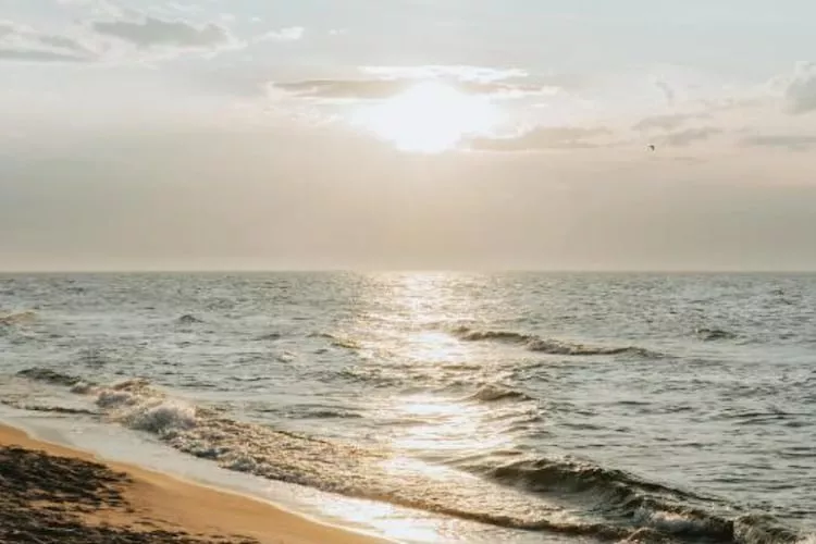 Domy wakacyjne i apartamenty w Niechorzu - Gebieden zomer 1km