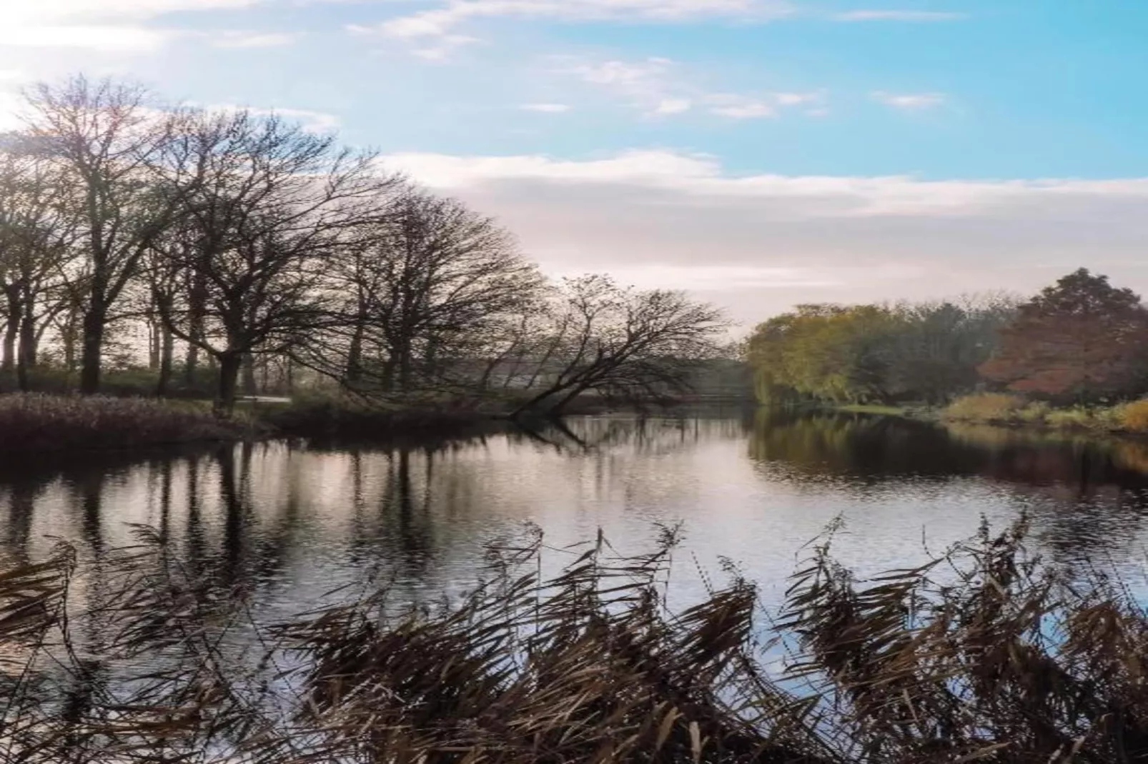 Resort Waterrijk Oesterdam 15 - Gebieden zomer 20km
