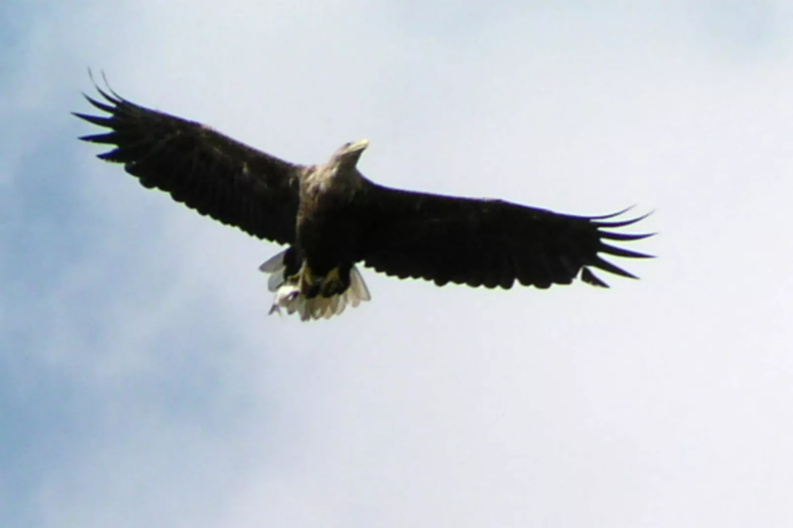 Bungalow 2 SZ 4 P - Parkfaciliteiten