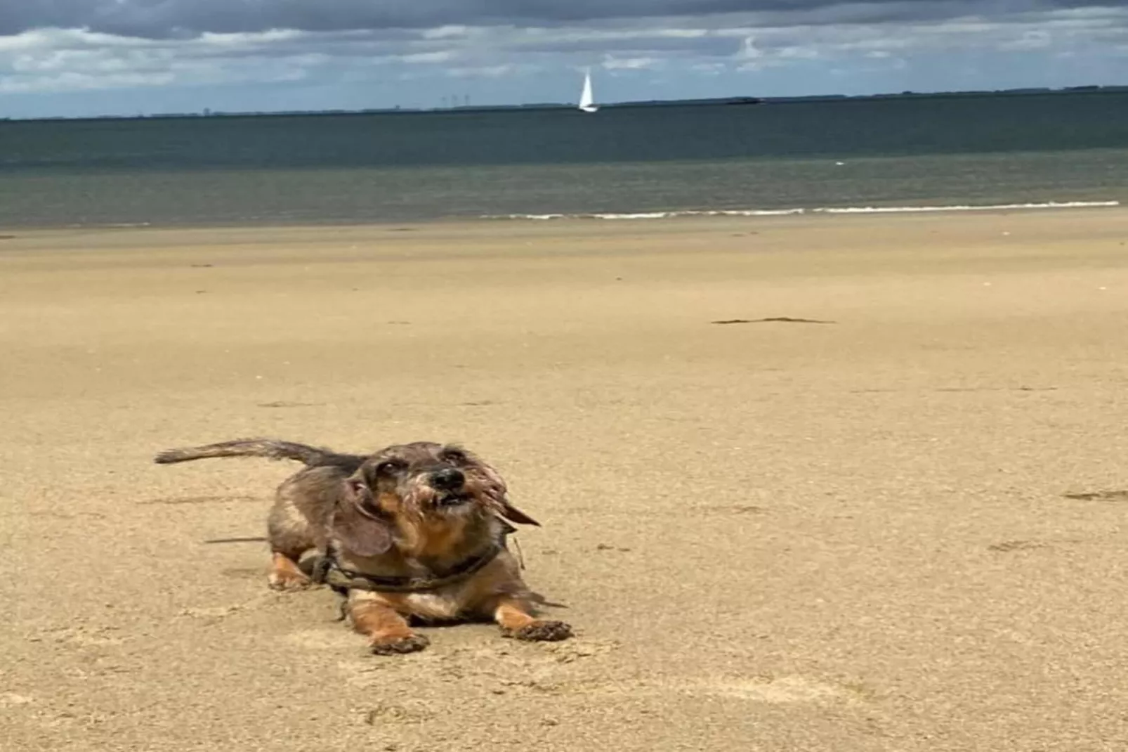 Resort Waterrijk Oesterdam 15 - Gebieden zomer 20km