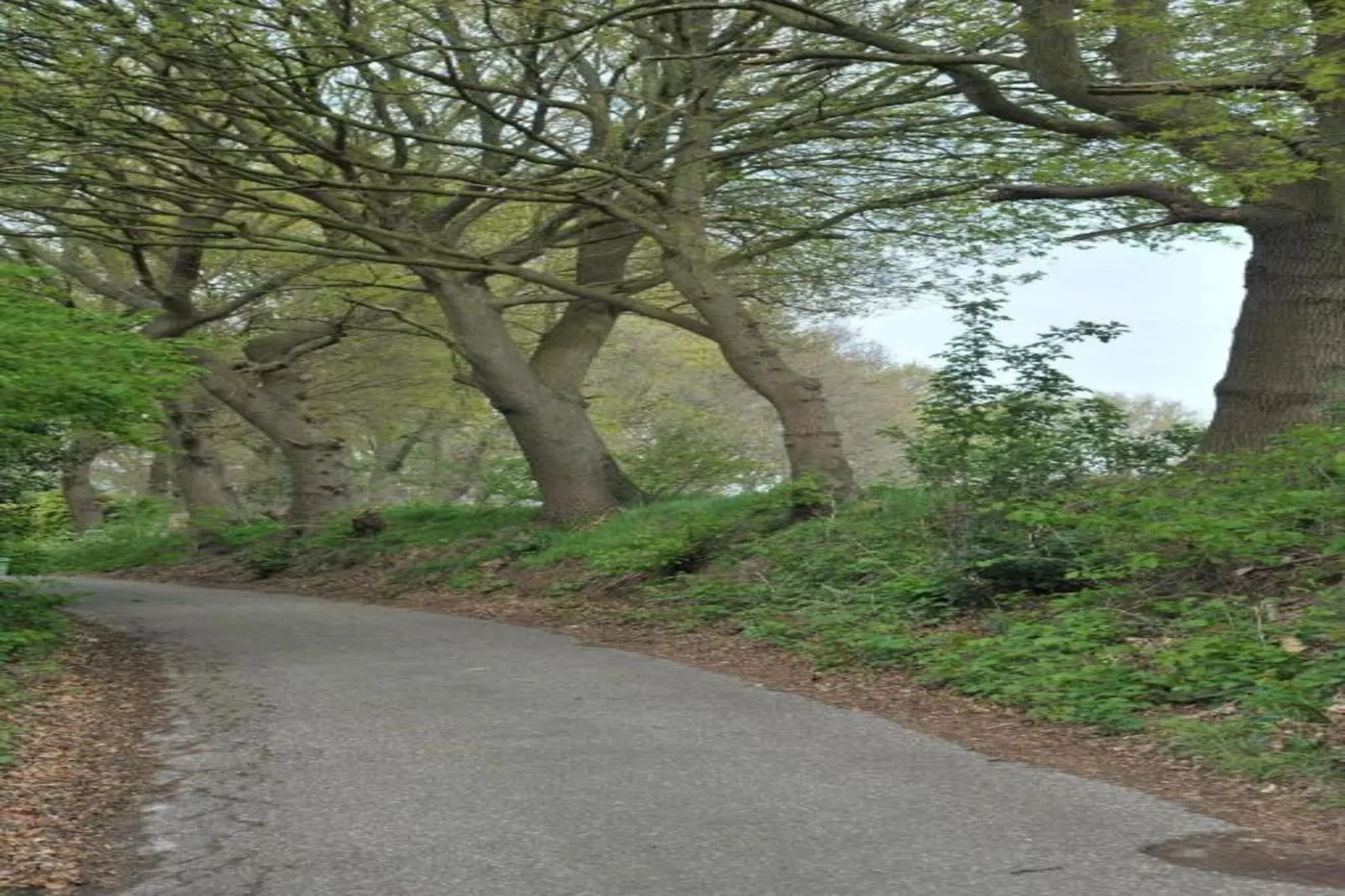 Resort Waterrijk Oesterdam 14 - Gebieden zomer 20km