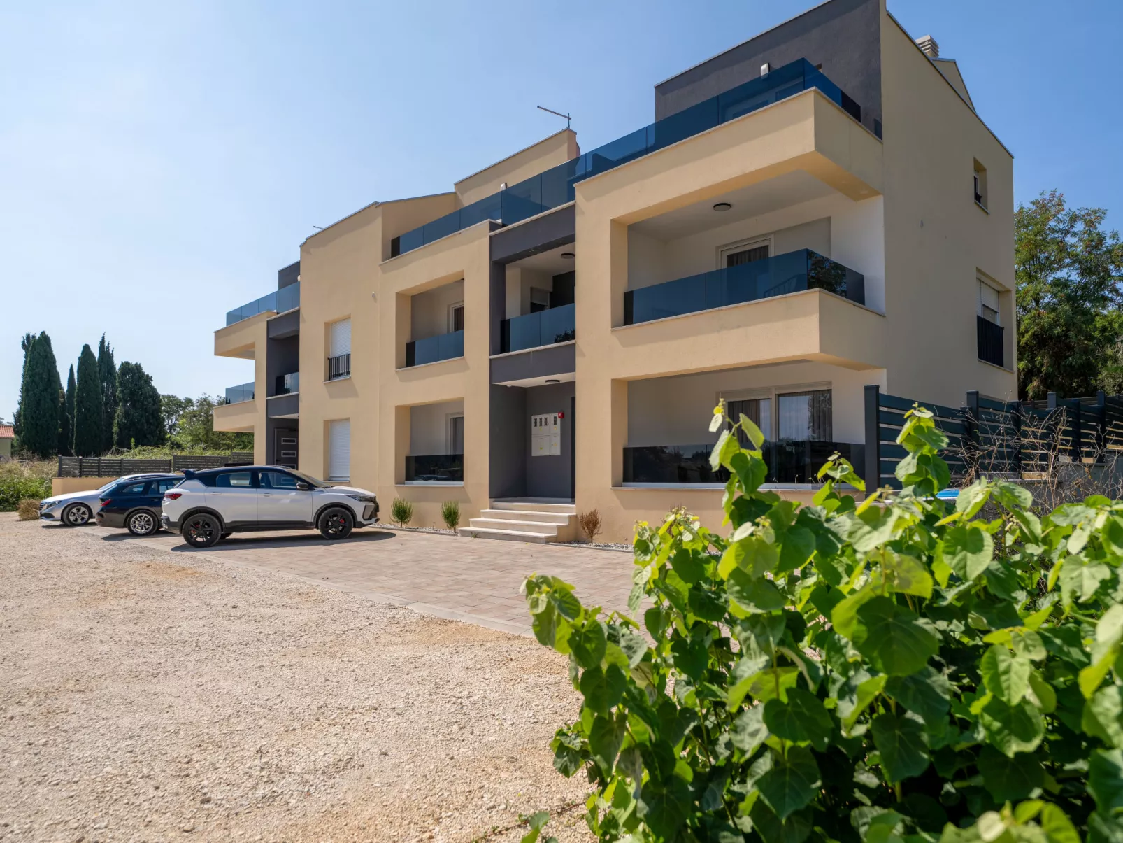 Mediterranee Oliva - Buiten