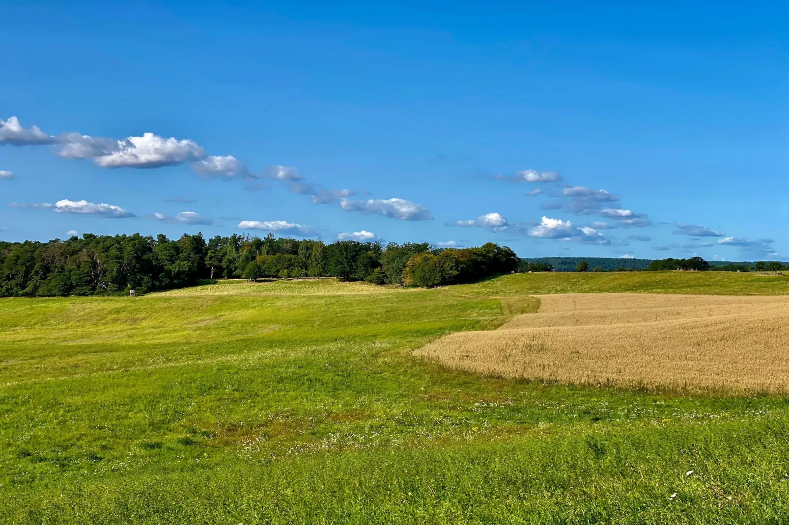 Standard Double Room - Gebieden zomer 5km