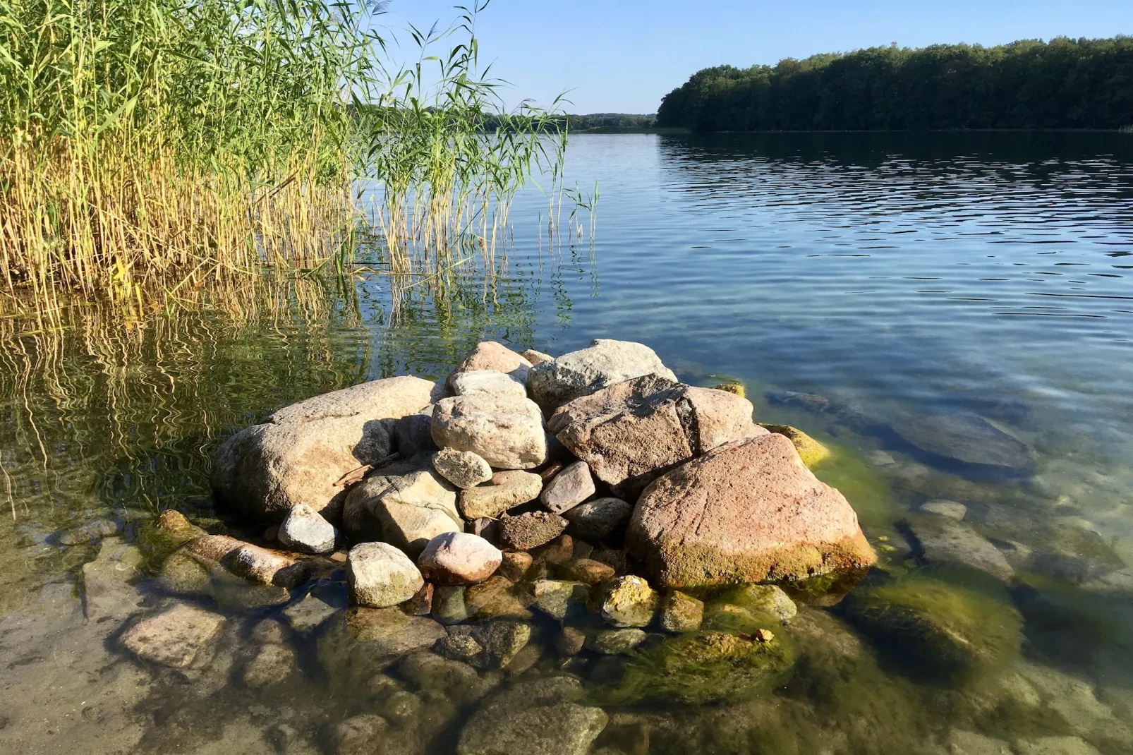 Wheelchair accessible Double Room - Gebieden zomer 5km