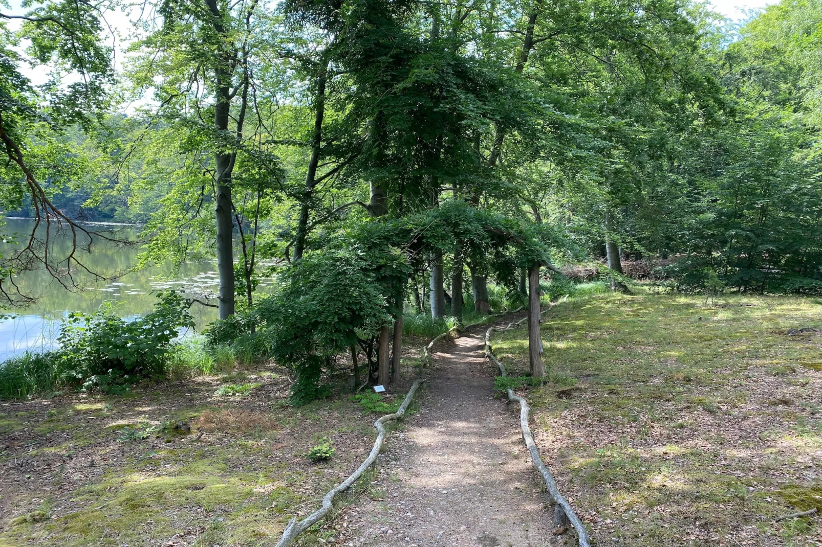 Hafendorf Junior Suite - Gebieden zomer 5km