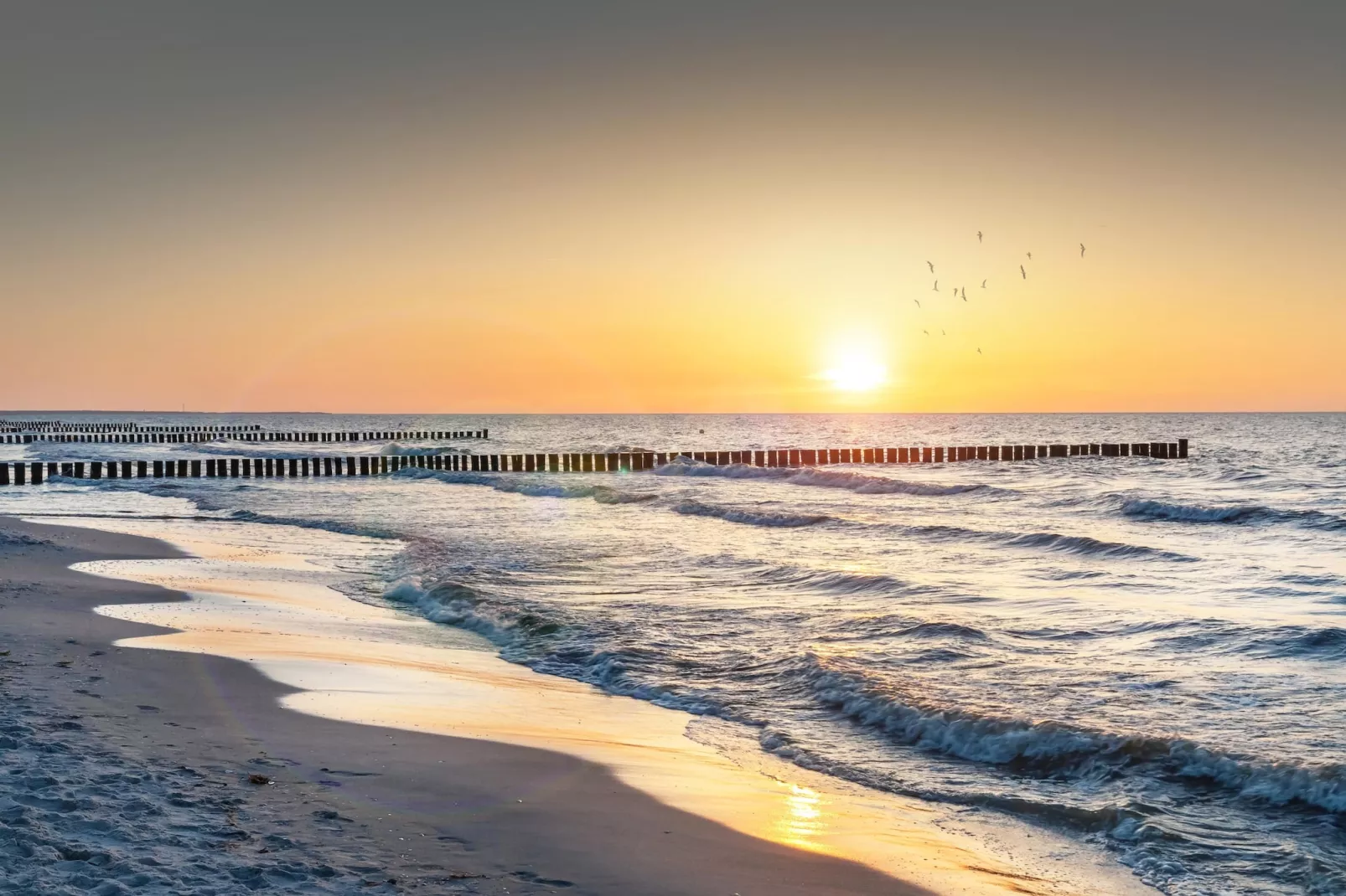 Rugen Standard Double Room - Image-tags.water view