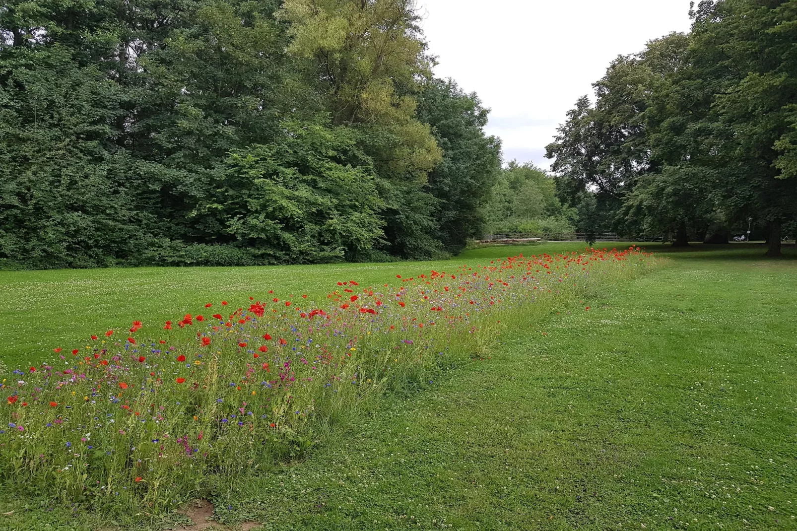 Mercure Hotel - Superior King Room - Gebieden zomer 5km