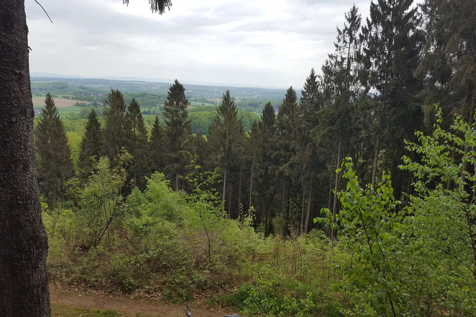 Mercure Hotel - Standard Twin Room - Gebieden zomer 5km