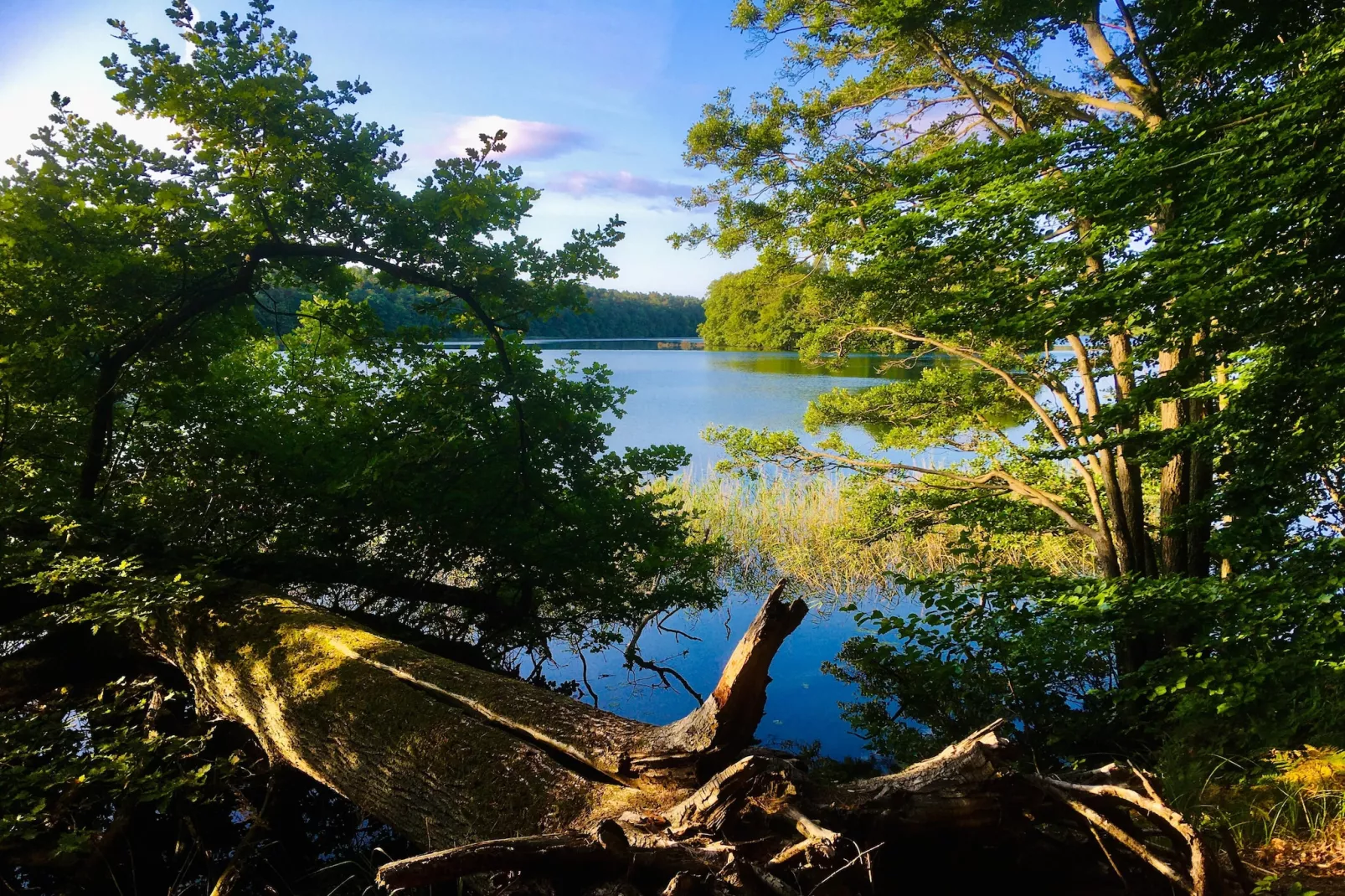 Standard Double Room - Gebieden zomer 5km