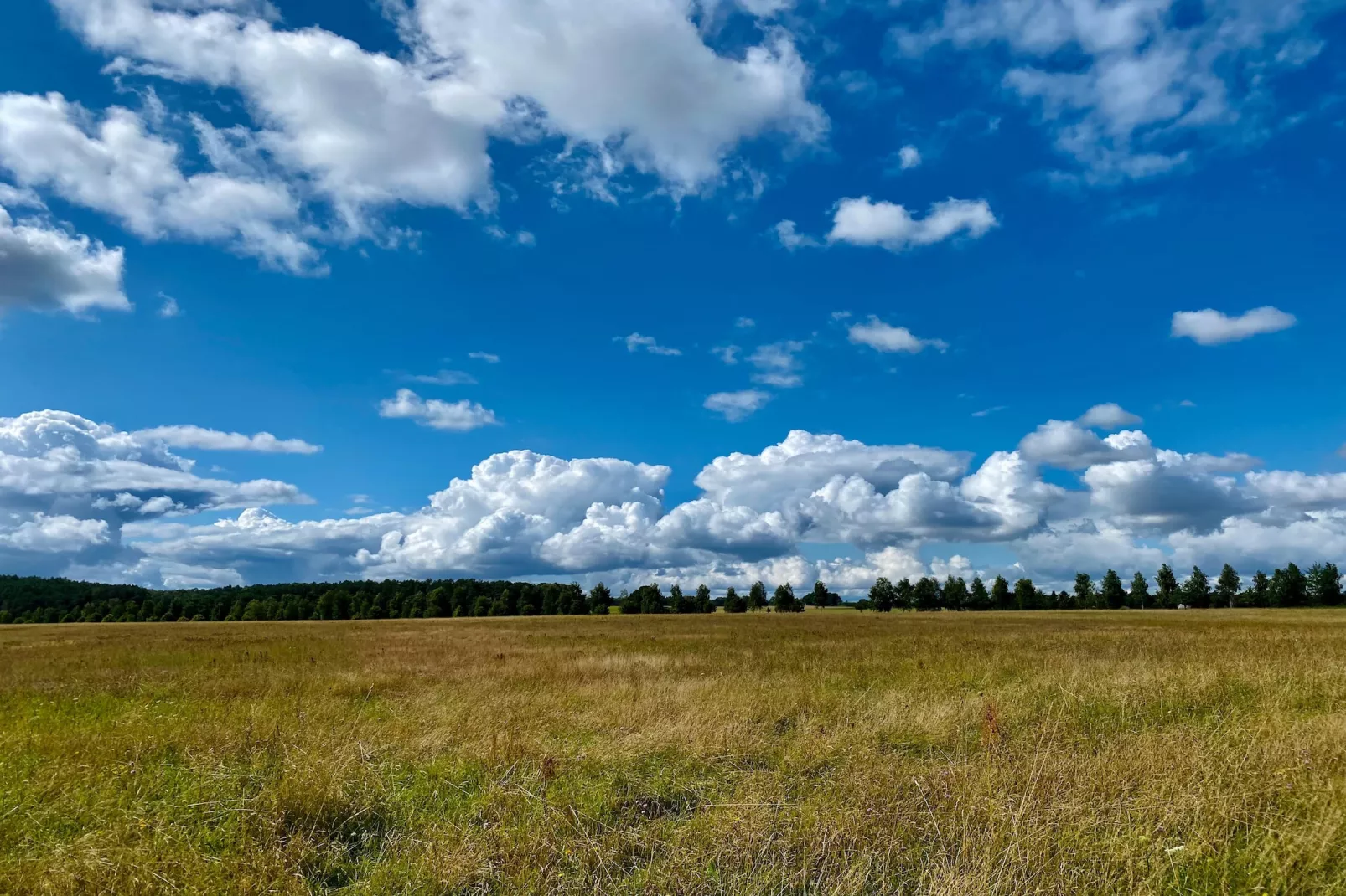 Single Room - Gebieden zomer 5km