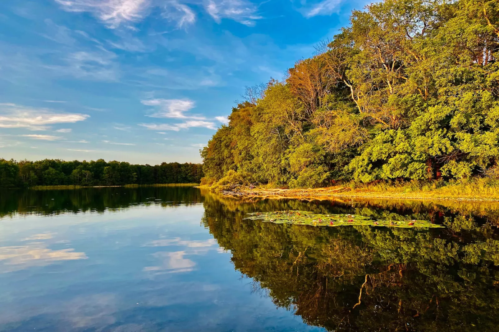 Standard Twin - Gebieden zomer 5km