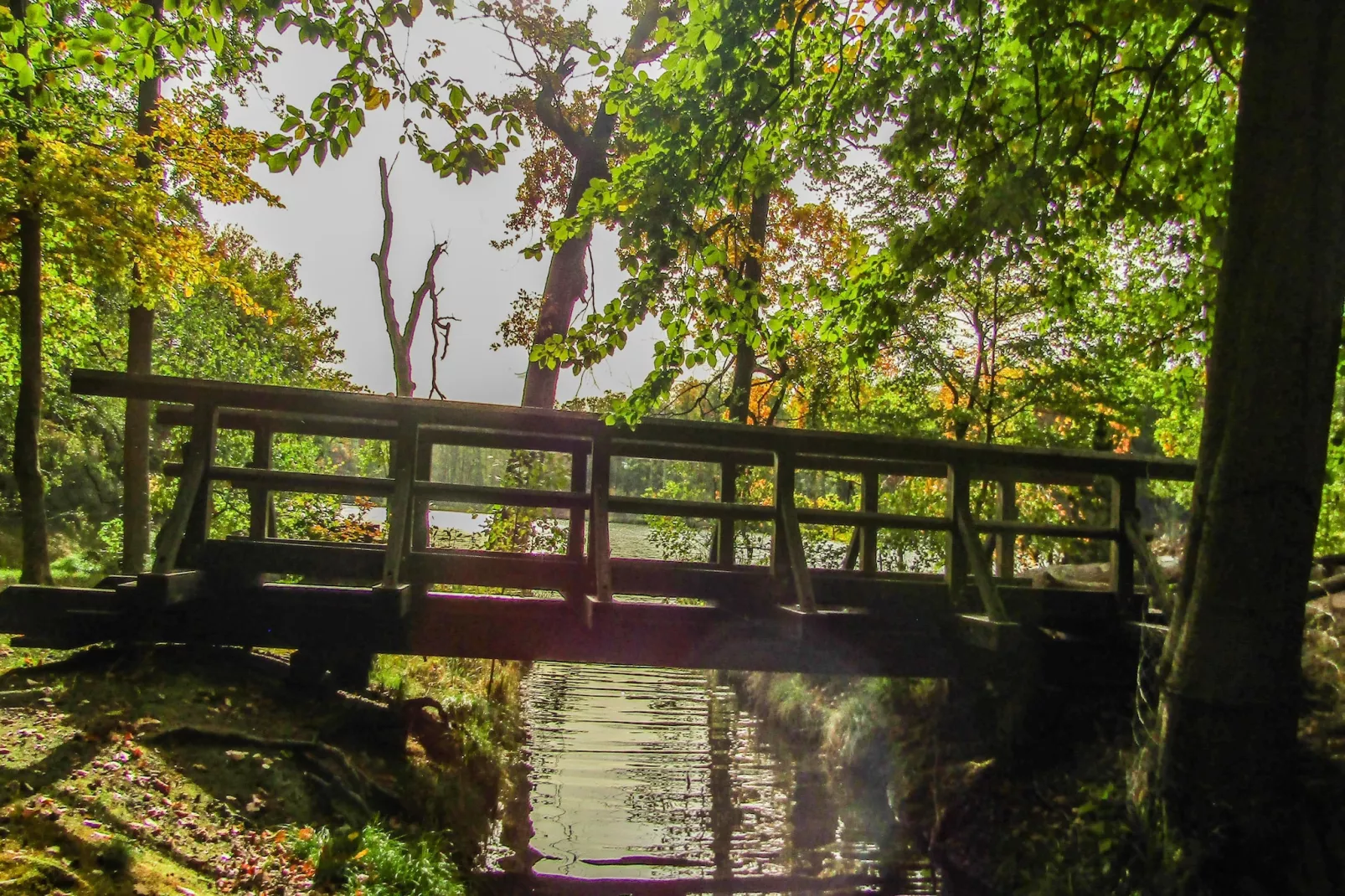 Hafendorf Standard Double Room - Gebieden zomer 5km