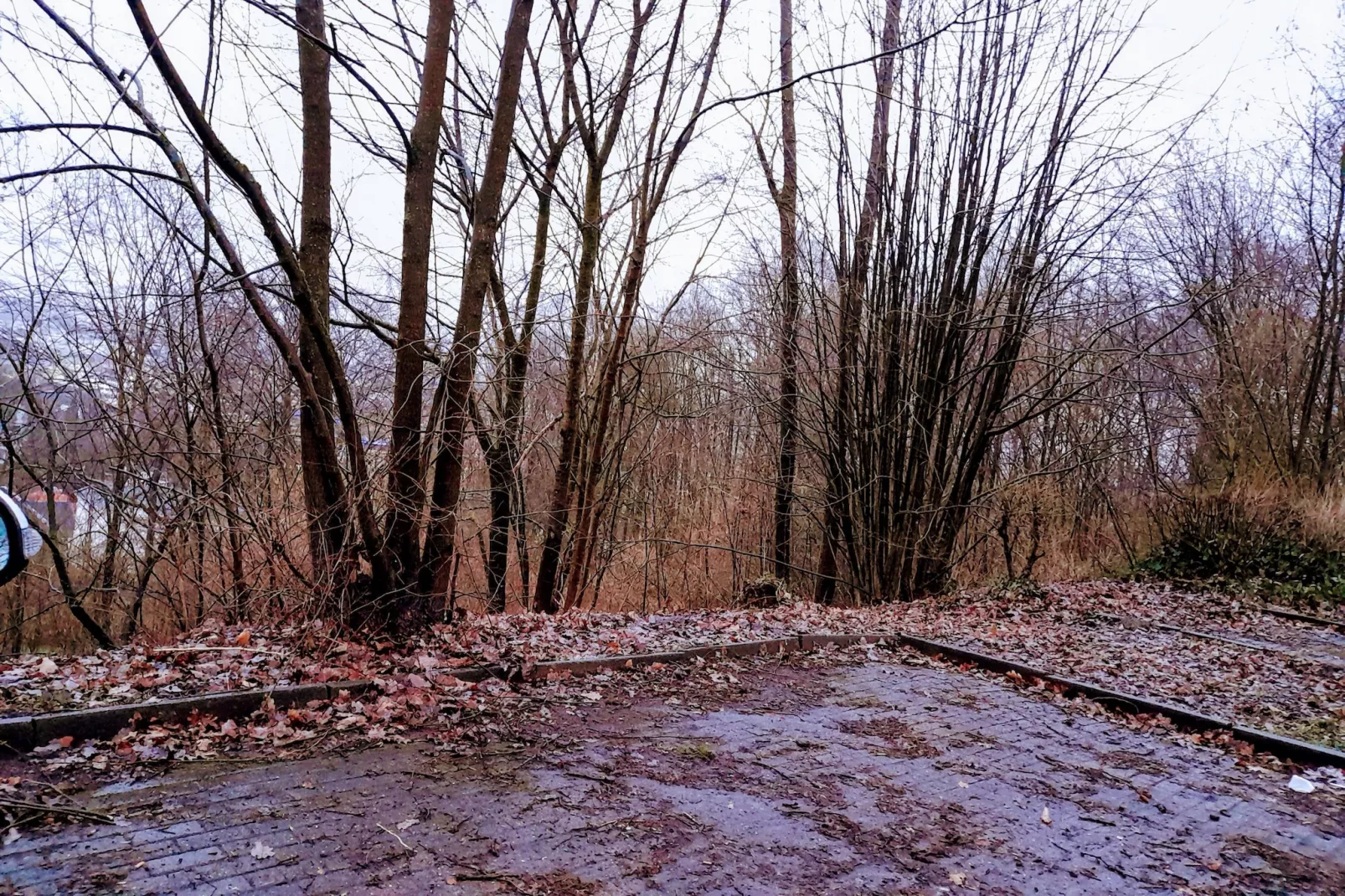 Mercure Hotel - Standard Double Room with Sofa Bed - Gebieden zomer 5km