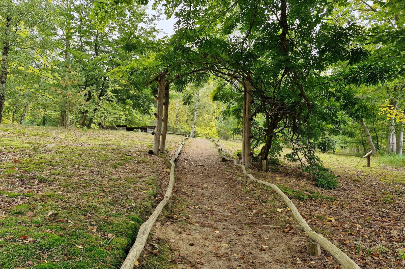 Hafendorf Double Room - Disability Access - Gebieden zomer 5km