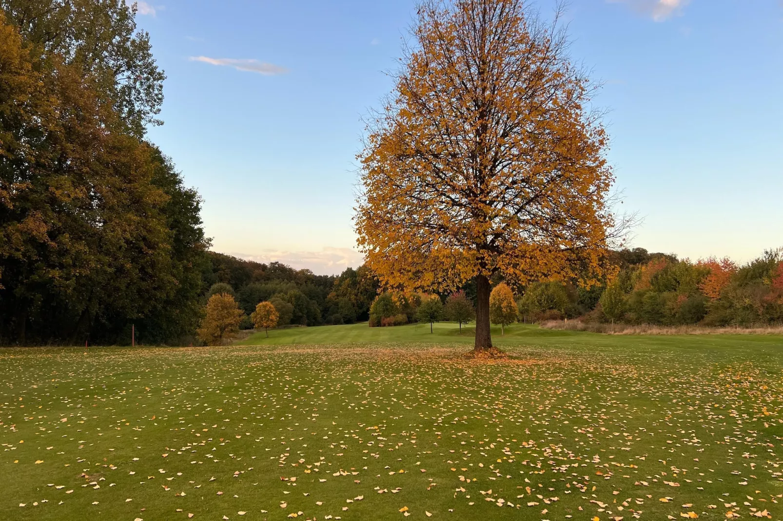 Mercure Hotel - Standard Double Room with Sofa Bed - Gebieden zomer 5km