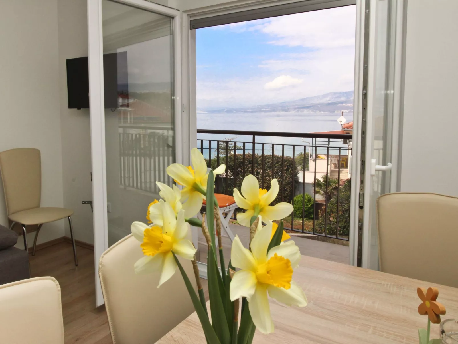 Apartment Ivo
