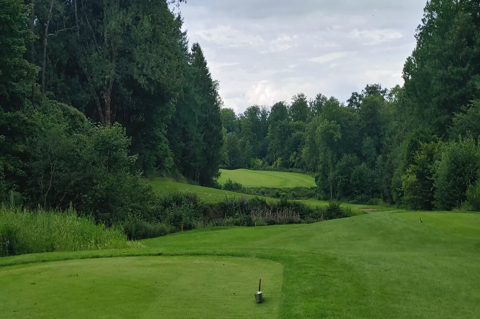 Mercure Hotel - Standard Twin Room - Gebieden zomer 5km