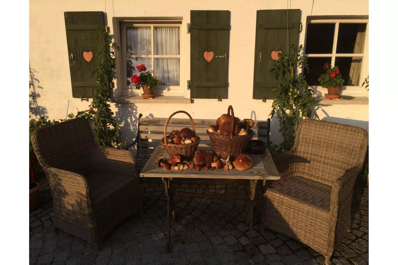 Weidhaus - Tuinen zomer