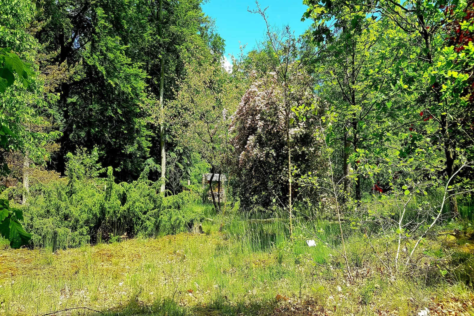 Hafendorf 1 Bedroom Apartment 3 guest - Gebieden zomer 5km