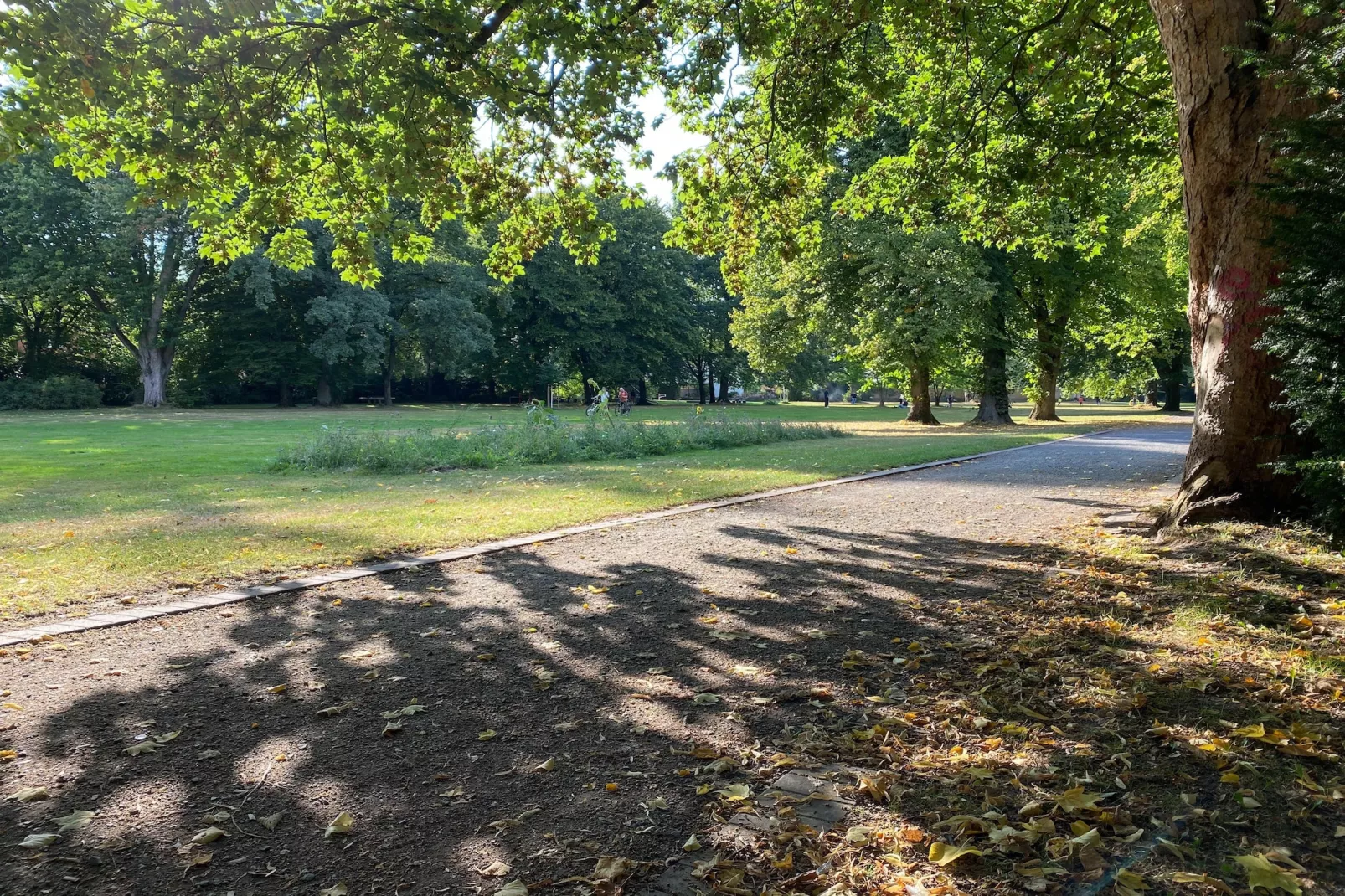 Mercure Hotel - Superior King Room - Gebieden zomer 5km