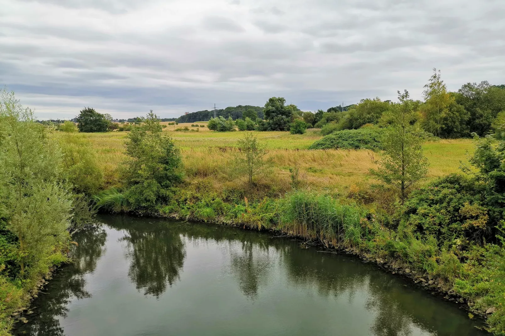 Mercure Hotel - Standard Twin Room - Gebieden zomer 5km