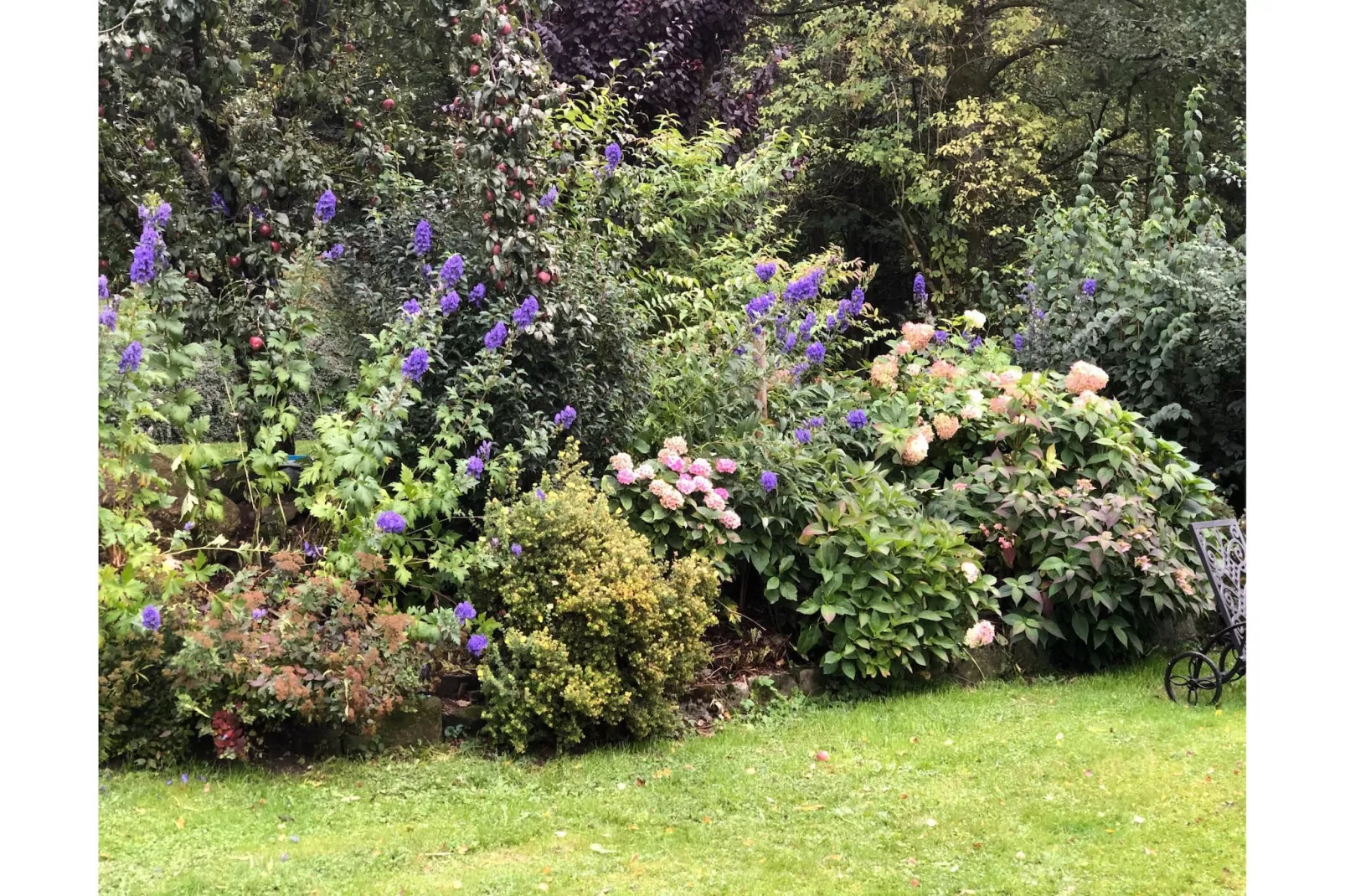 Weidhaus - Tuinen zomer