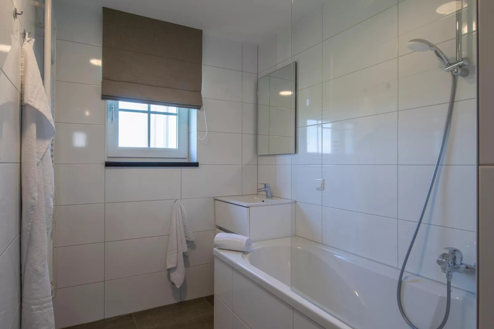 Vakantiepark De Heihorsten 5 - Badkamer