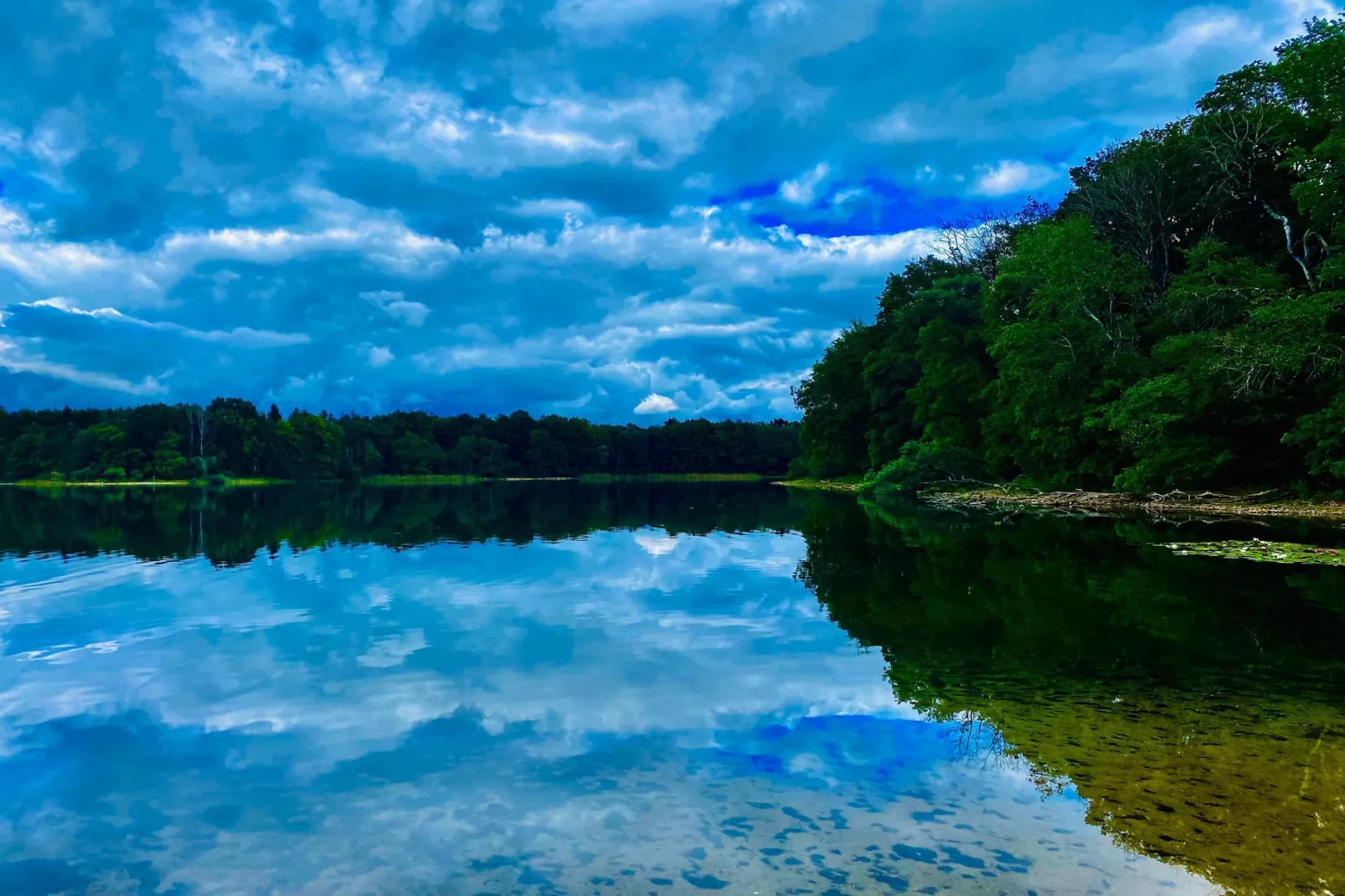 Wheelchair accessible Double Room - Gebieden zomer 5km